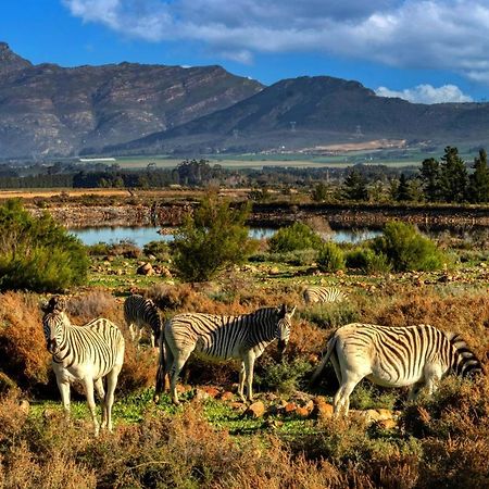 Welbedacht Game & Nature Reserve Tulbagh Exterior foto